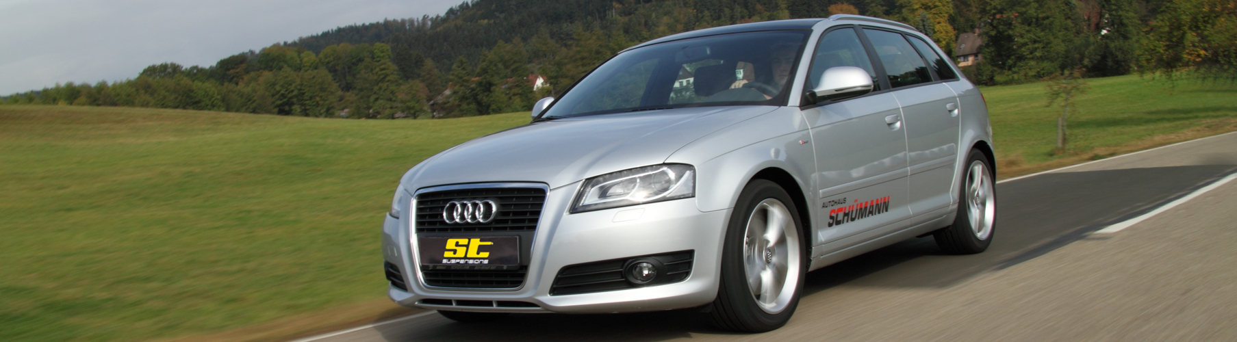 Audi A3 8P  ST suspensions