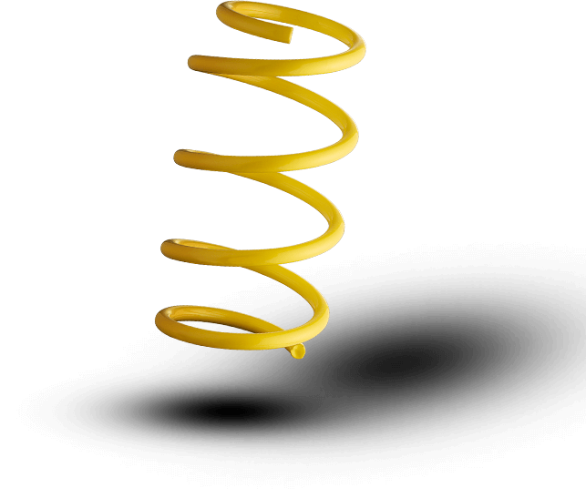 ST Lowering Spring 28220212 ST Lowering Spring 28220212